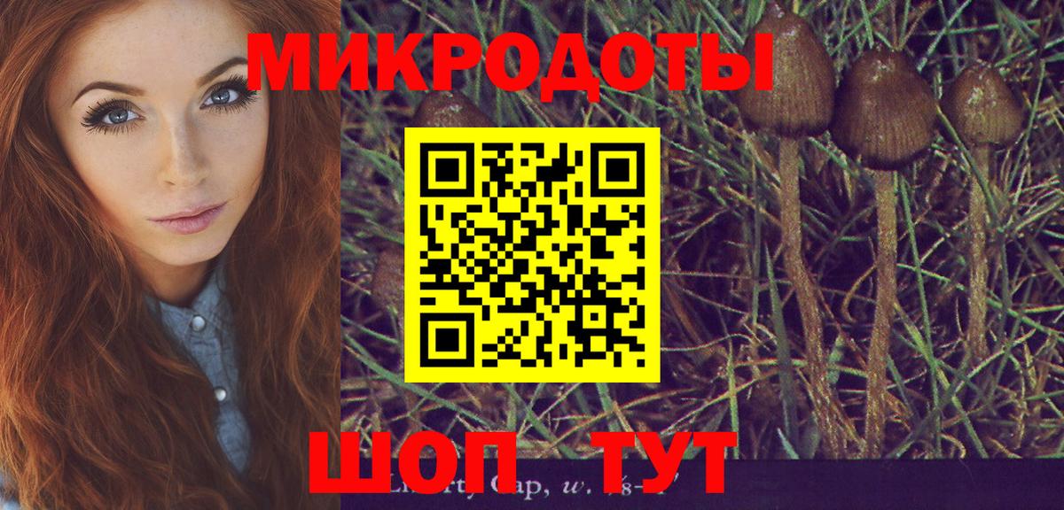 Галлюциногенные грибы Psilocybine cubensis  Вход с VPN  Псилоцибиновые грибы Cubensis  Коммунар 